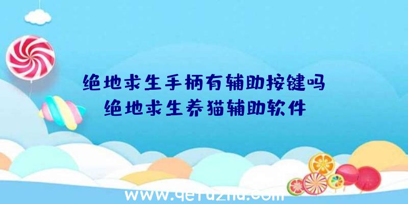 「绝地求生手柄有辅助按键吗」|绝地求生养猫辅助软件